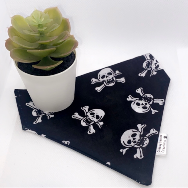 Skull And Cross Bones 