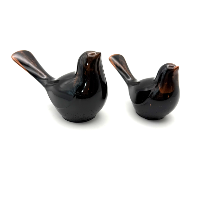 Couple d’oiseaux Rouge-queue noir 