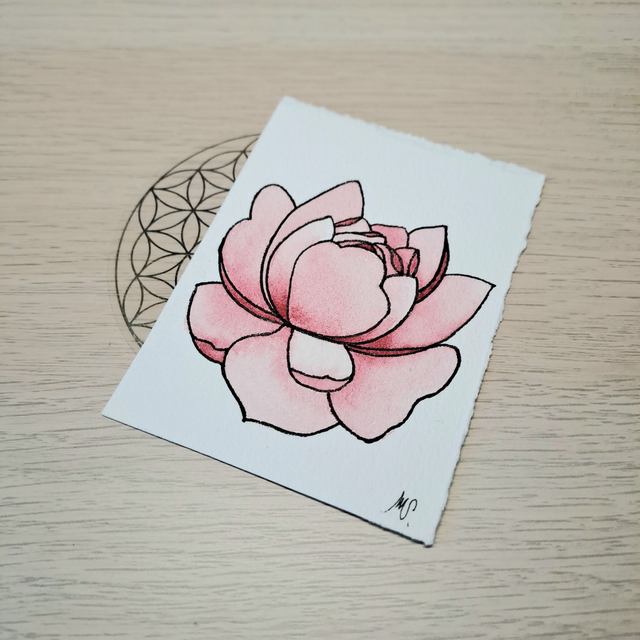 Mini Pivoine