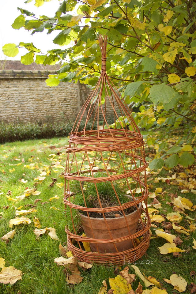 Stage : fabriquer une tontine pour les plantes grimpantes