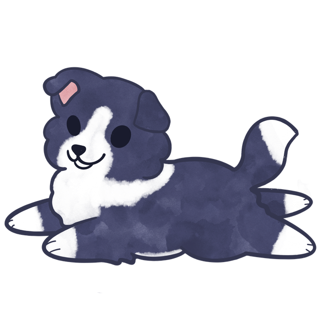Border Collie