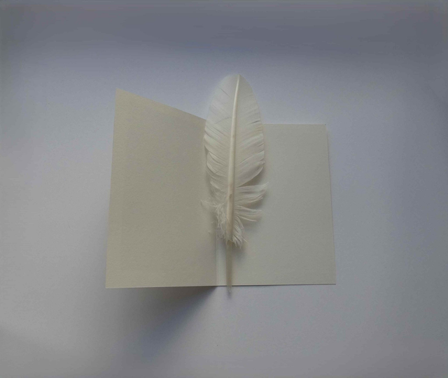 La fleur de la Saint-Valentin