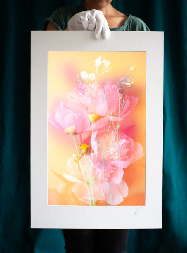 Collection du printemps * 13