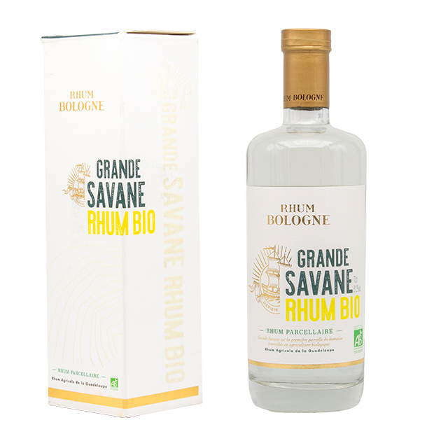 Bologne Grande Savane