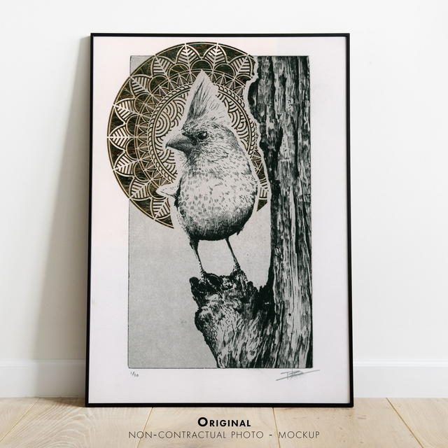 Fine art etching / Not framed / Golden Northern Cardinal