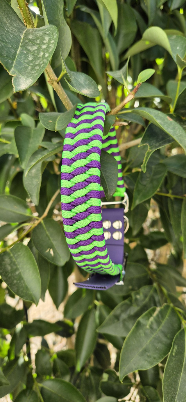 Collier biothane - Taille L