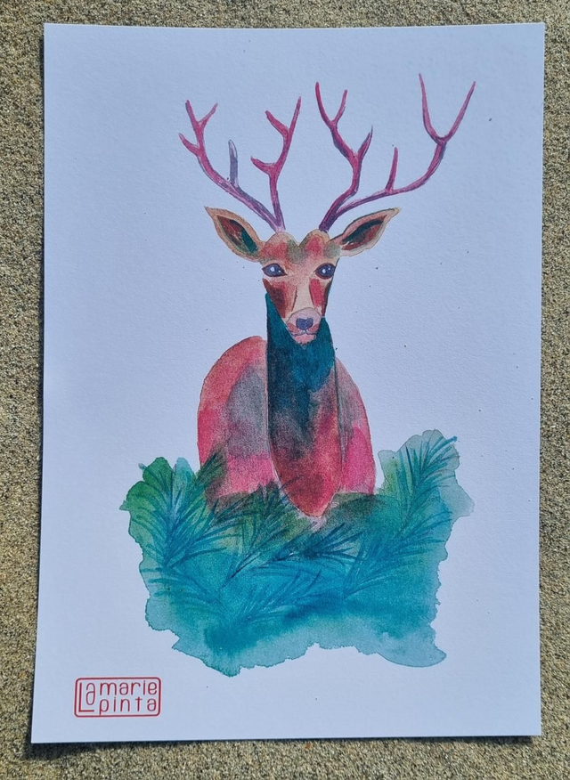 Cerf à partir de 4€