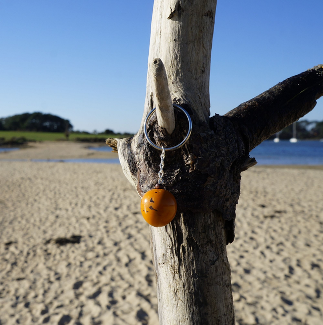Graine Orange