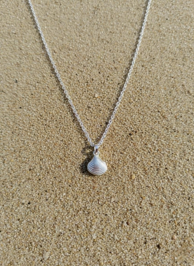 3d Venus shell necklace