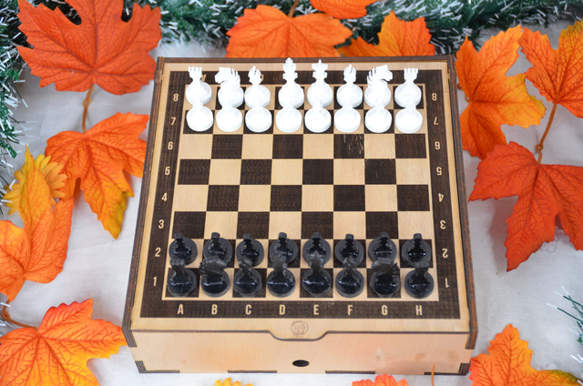 Jeu d&#039;échecs (petit format)
