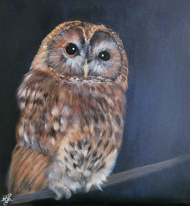 chouette hulotte - peinture originale signée