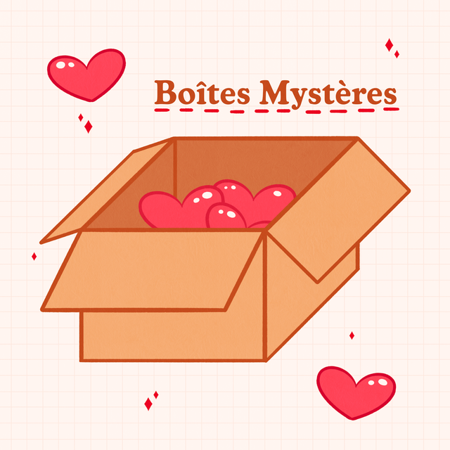 Boîtes Mystères 