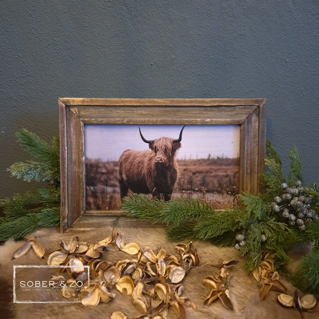 Foto op hout, dier (horizontaal)