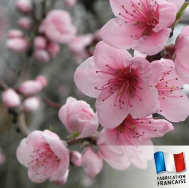 🌼🌸Fleurie🌺🌹