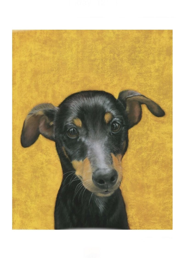 Print (large) 'YOYO' (Friends of Animals) 