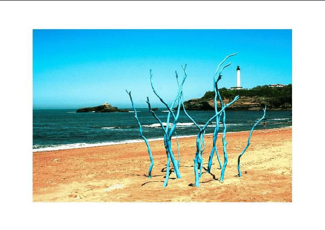 "Lighthouse blue tree"