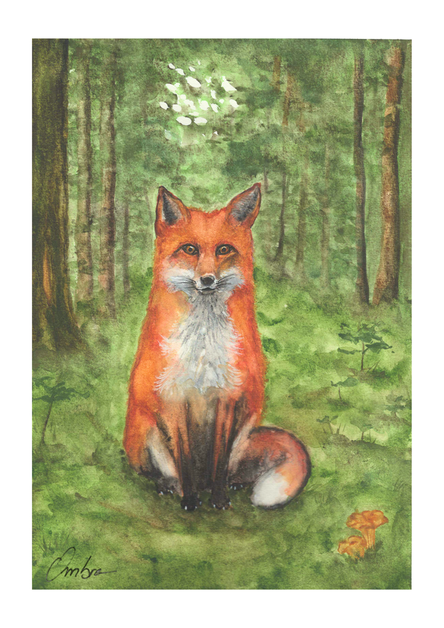 Renard