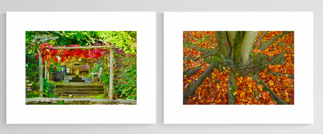Autumn Leaves - Print