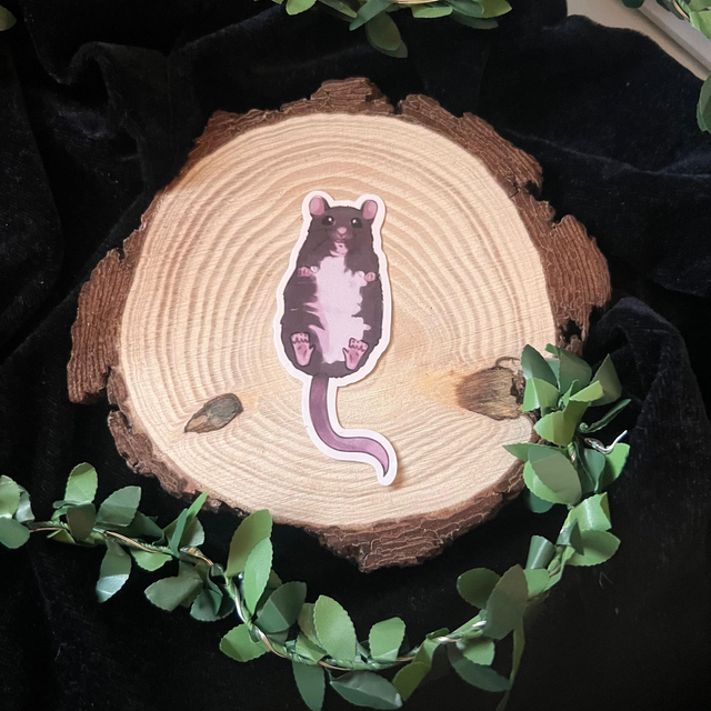 Sticker Rata // rata boca arriba