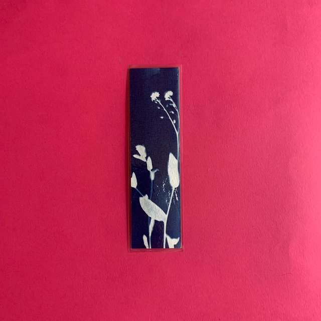 Marque page cyanotype végétal original sur papier épais et plastifié