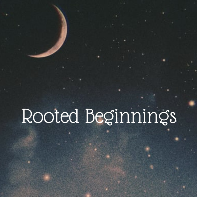 Rooted Beginnings 