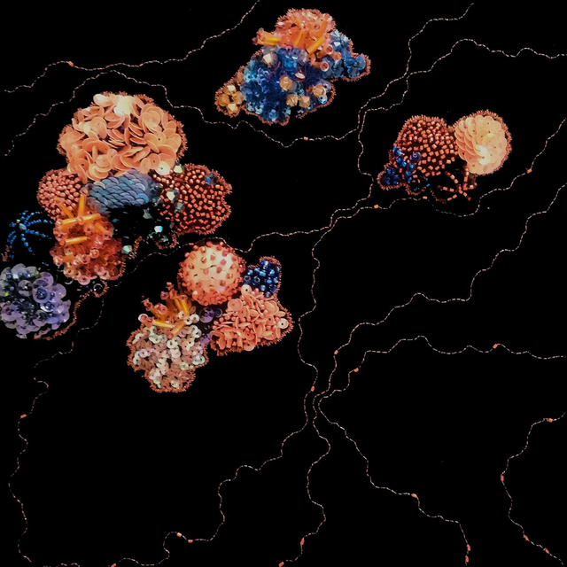 Coraux Orange abricot et Bleu nuit