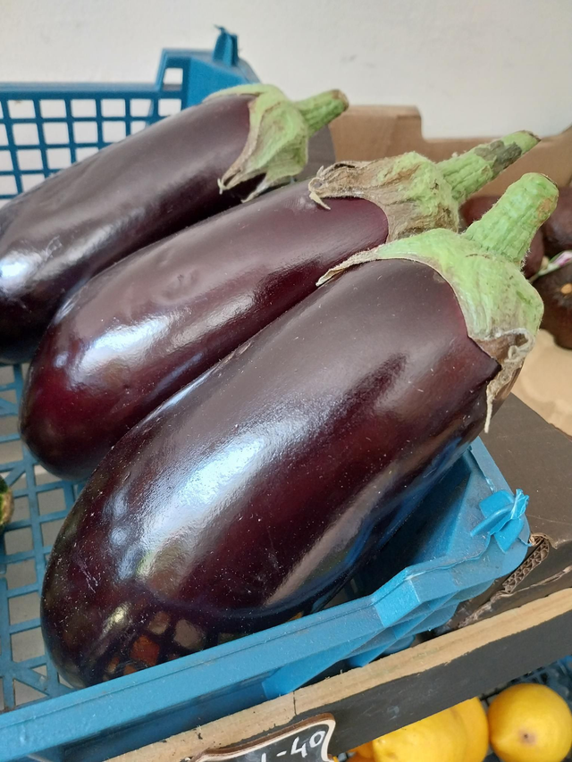 Aubergine Large 