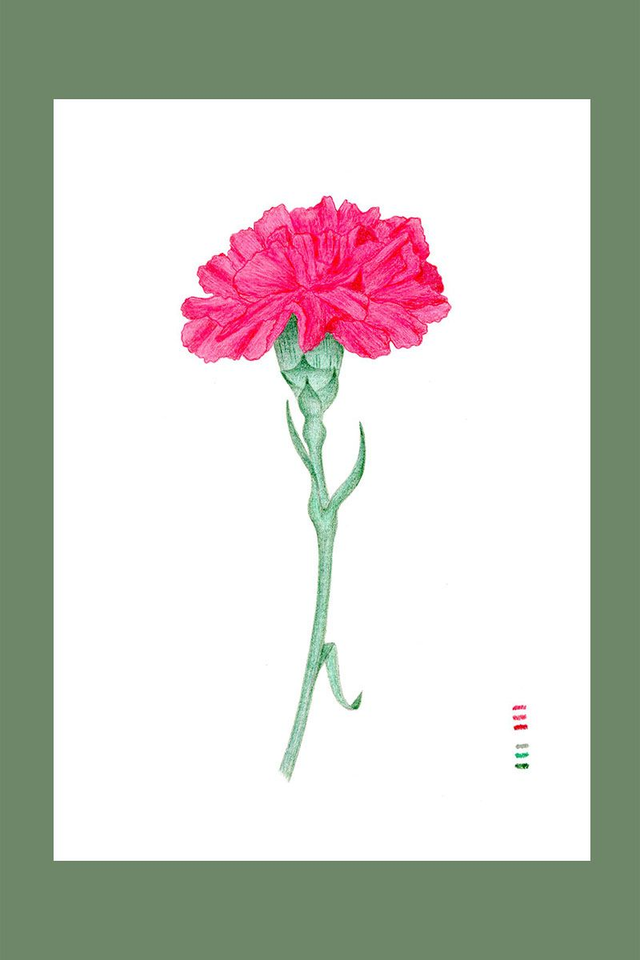 Illustration fleur Oeuillet 