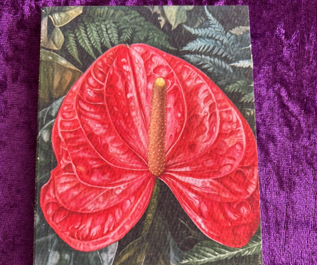 Lined Note Pad Red Plant