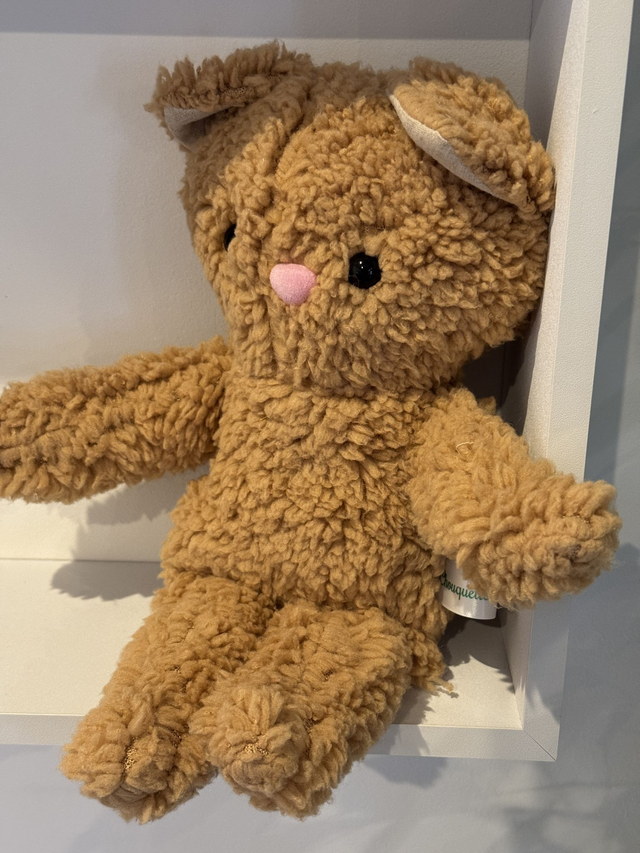 Lily chat moumoute marron