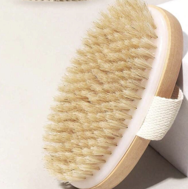 Brosse pour brossage à sec 