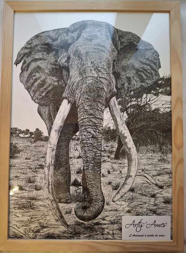 Cadre L'éléphant Craig au pointillisme
