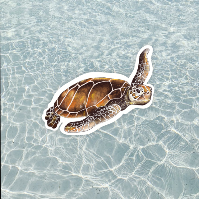 sticker tortue