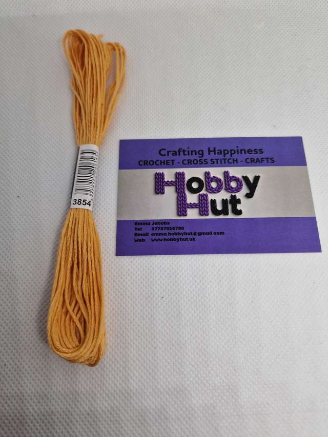 Embroidery Thread - 3854