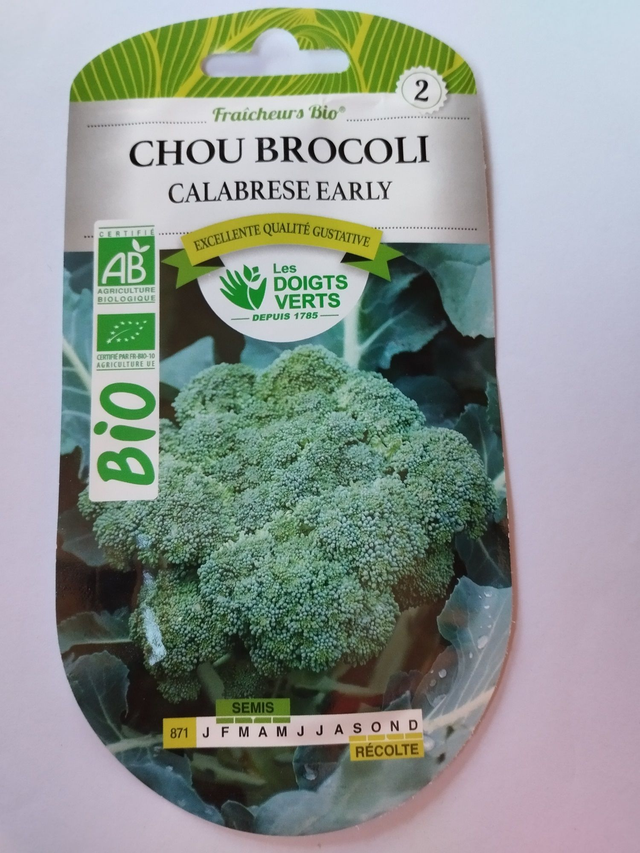 Chou Brocoli calabrese early BIO