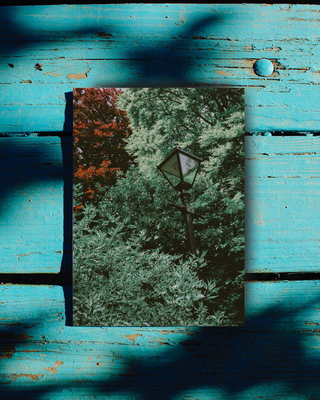 Warden of the Foliage