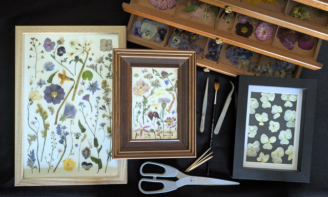 Sunday 8th of March - Botanical Collage Art Workshop