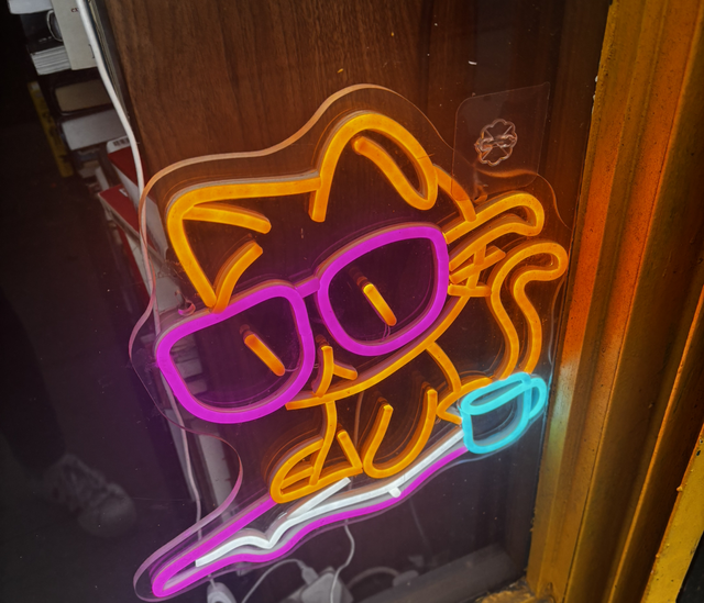 Older ones (8-18y old)