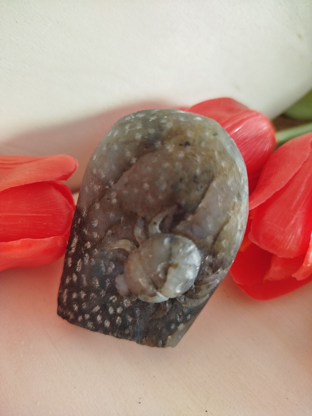 Labradorite sculptée  araignée