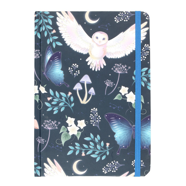 Night Flight Owl - A5 Notitieboek