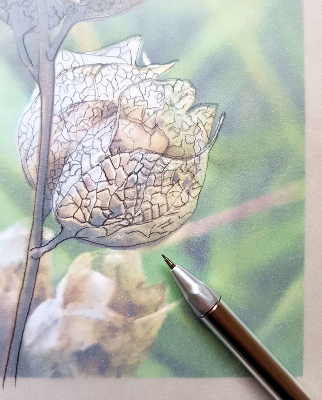 Deposit - 11 &amp; 12 April - From still life to lino print - weekend workshop