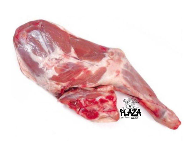 Agnello - carne fresca