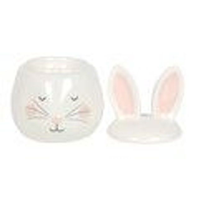 09. Brûleur visage de lapin