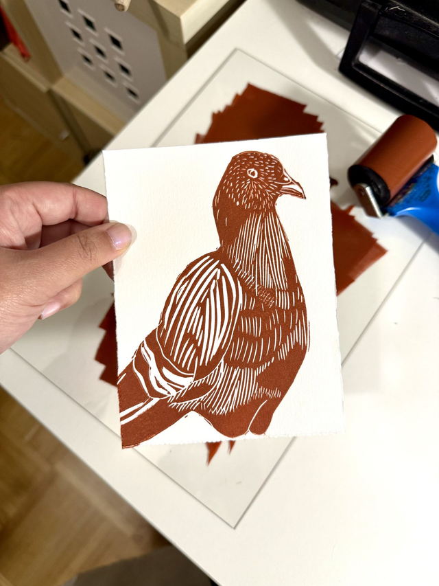 Portrait d'un pigeon - encadré