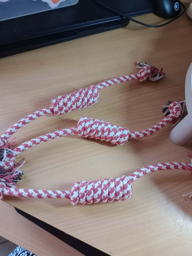 lot de 4 jouets pour chiens