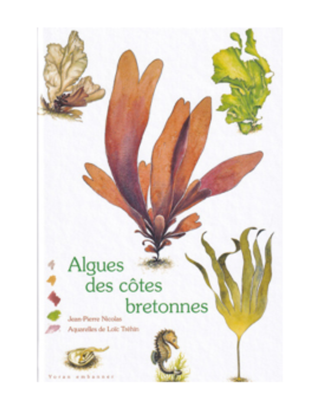 Algues des côtes bretonnes - CoopBreizh