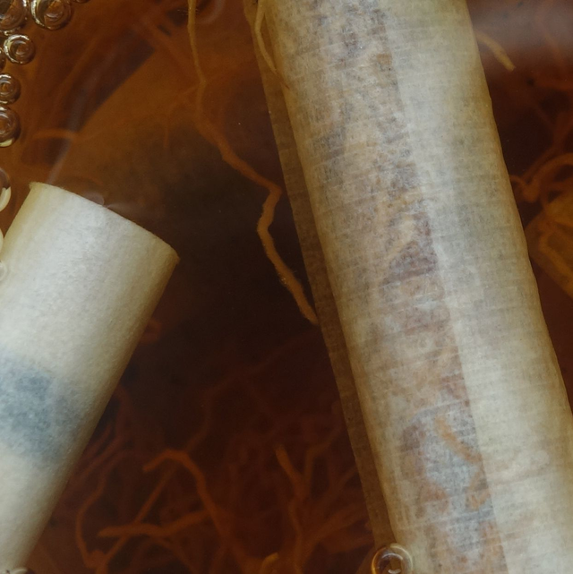 VIRGO 2022 - David Lindert