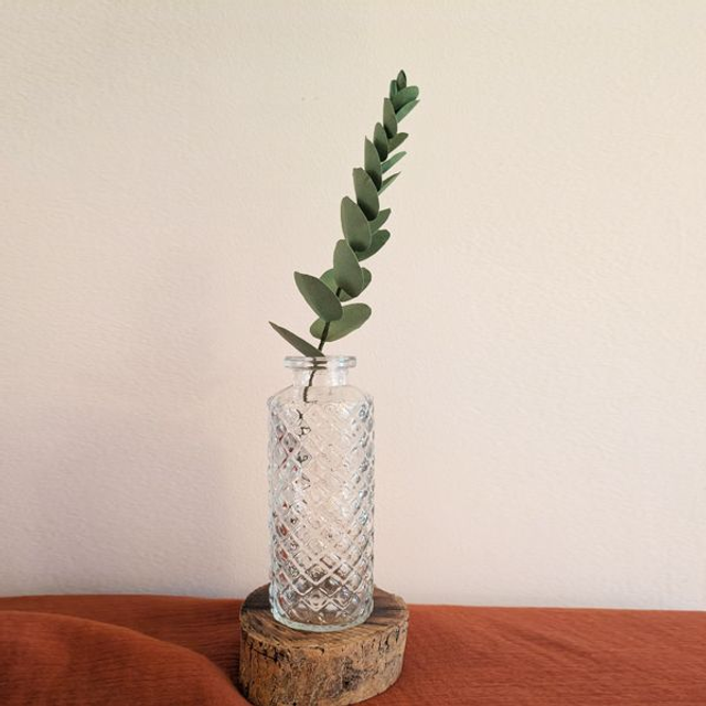 Brin d&#039;Eucalyptus