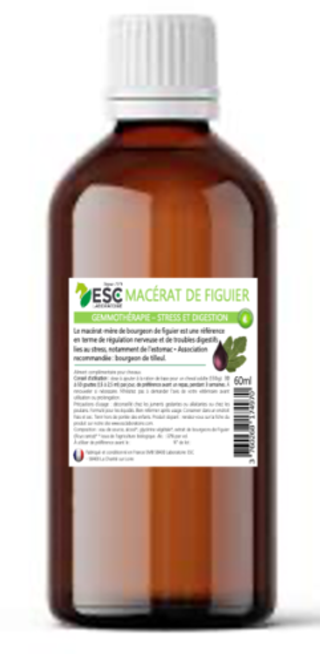 MACERAT DE BOURGEON DE FIGUIER – Gemmothérapie cheval – Stress et troubles digestifs