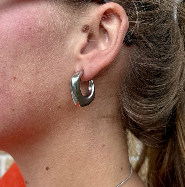 Boucles d&#039;oreilles Nais 